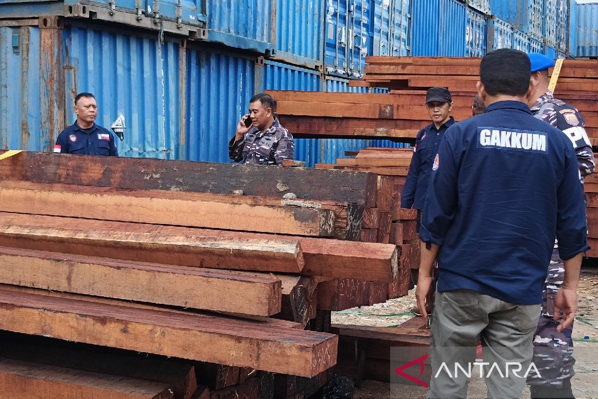 Lantamal X Jayapura dan Satgas BPPH KLHK amankan 3.000 batang kayu ilegal