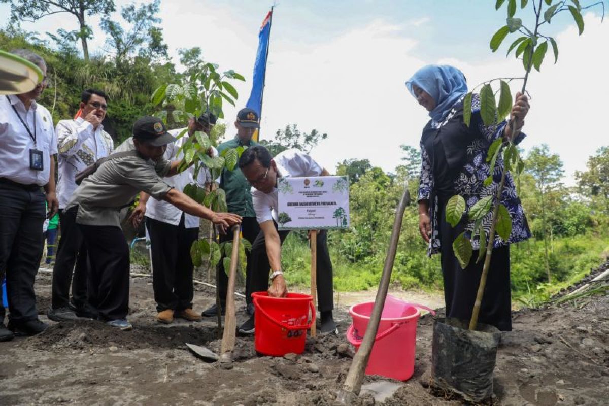 Gubernur DIY mencanangkan rehabilitasi lahan kawasan Gunung Merapi