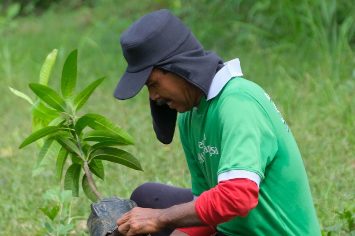 Kalbe menanam ribuan pohon di Kabupaten Wonogiri