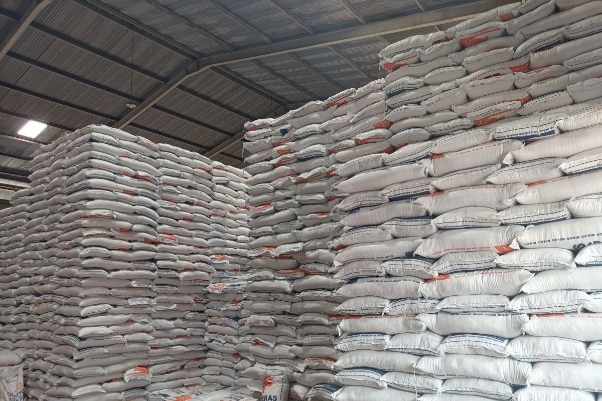 Stok beras Bulog di Papua-Papua Barat capai 18 ribu ton