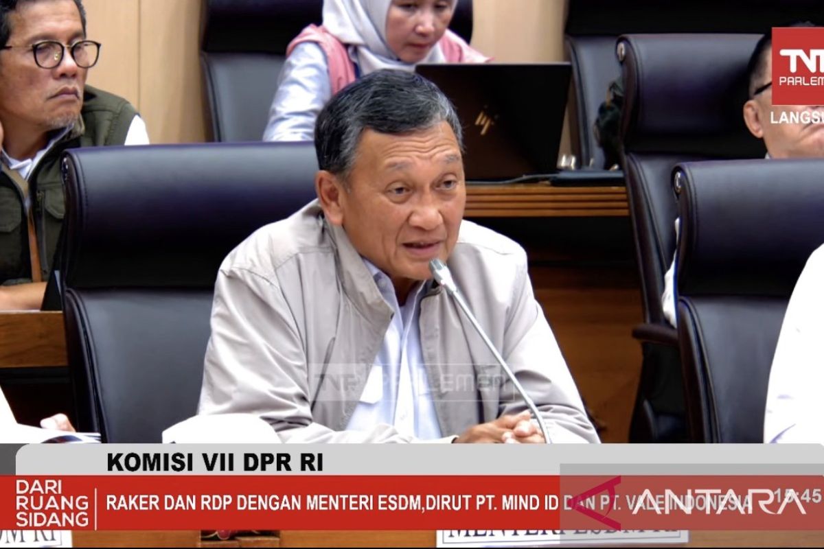 Menteri ESDM targetkan divestasi Vale selesai Juli