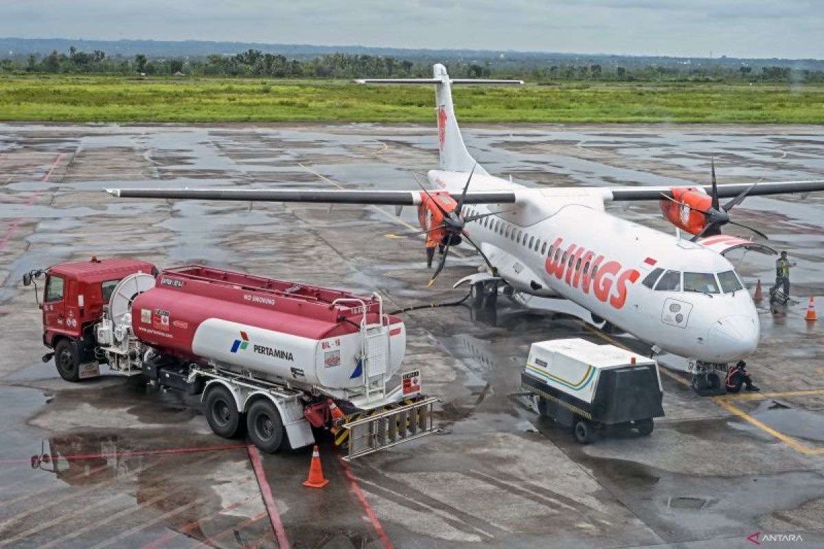 Transportation Minister discusses plan to decarbonize aviation