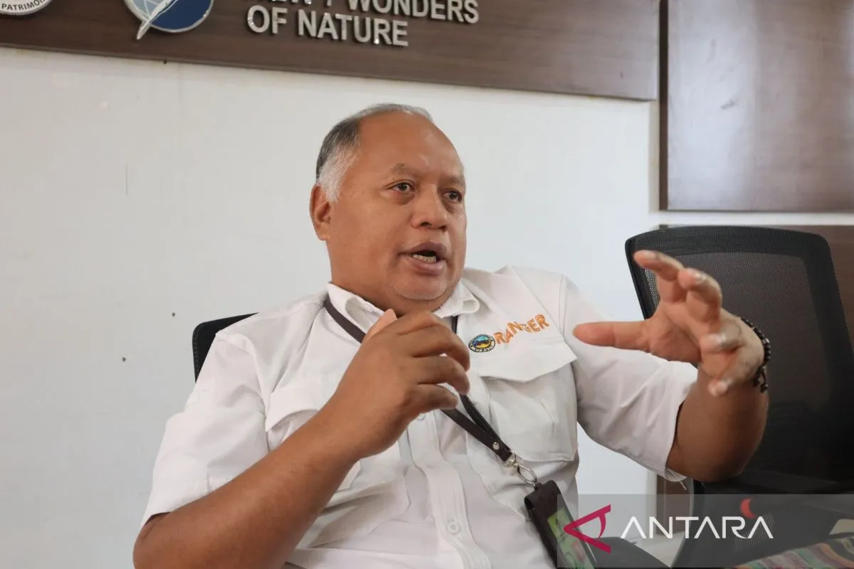 Kepala BTNK: 13 telur komodo menetas di Pulau Rinca