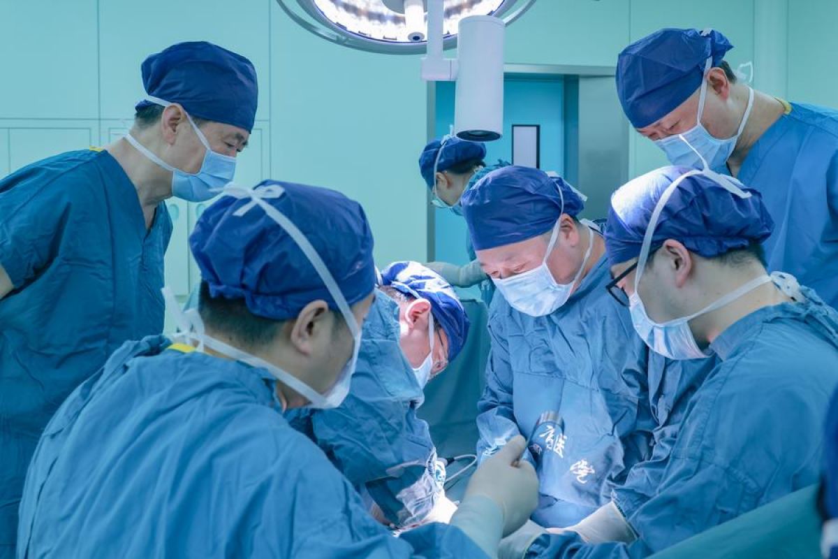 Peneliti China berhasil transplantasi ginjal babi ke tubuh manusia