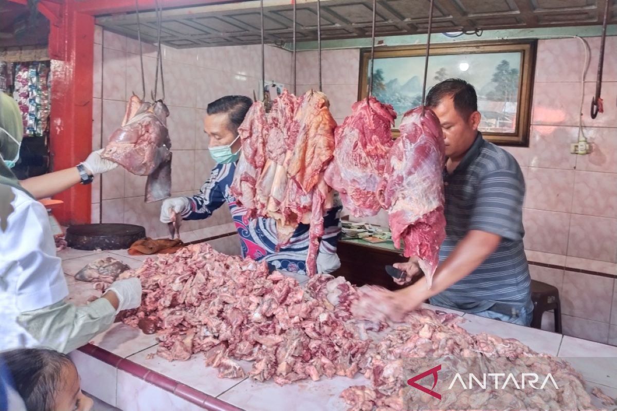 Distankan Rejang Lebong periksa kesehatan penjualan daging sapi