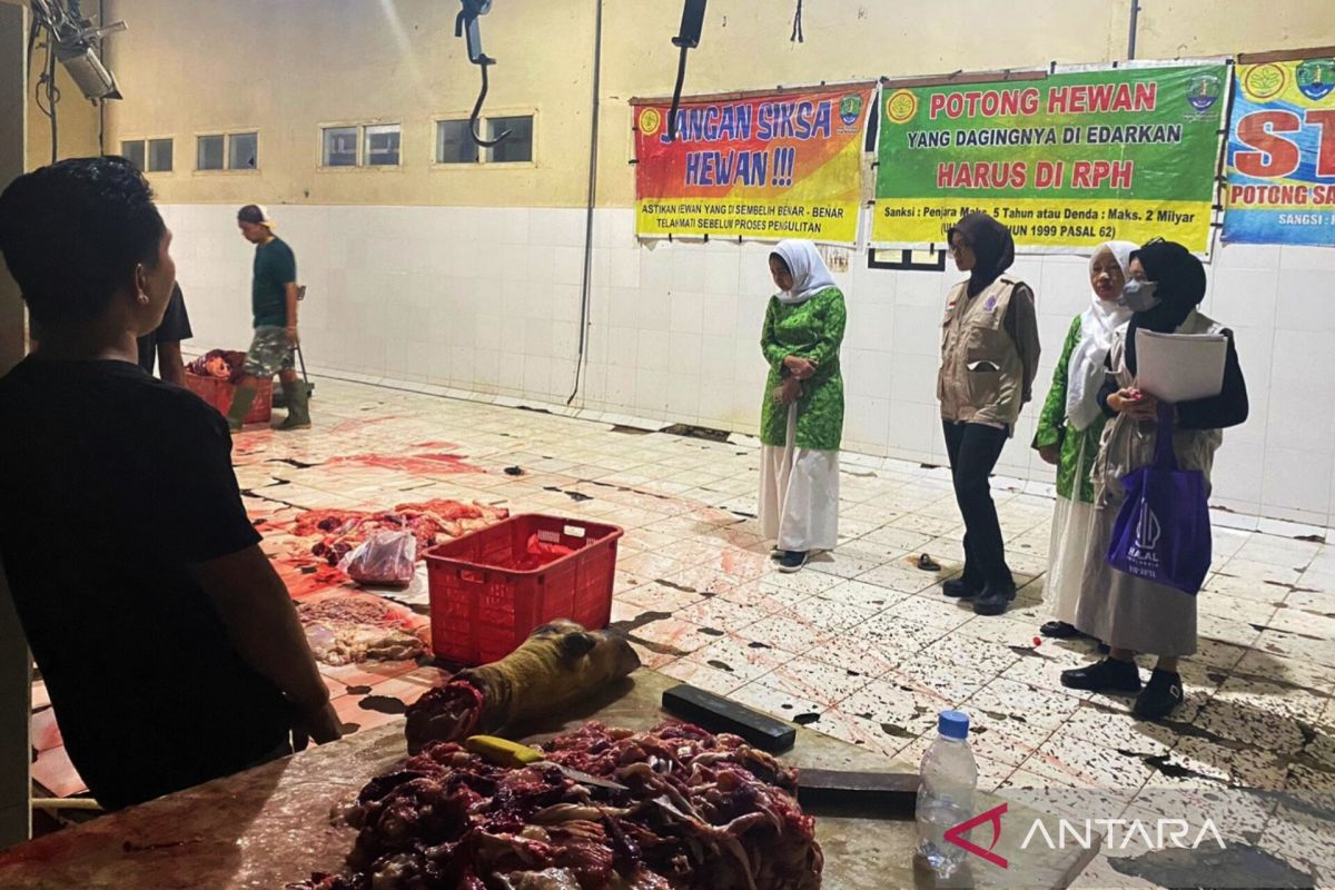 Pengawas JPH Kaltara pastikan pemotongan hewan sesuai standar halal