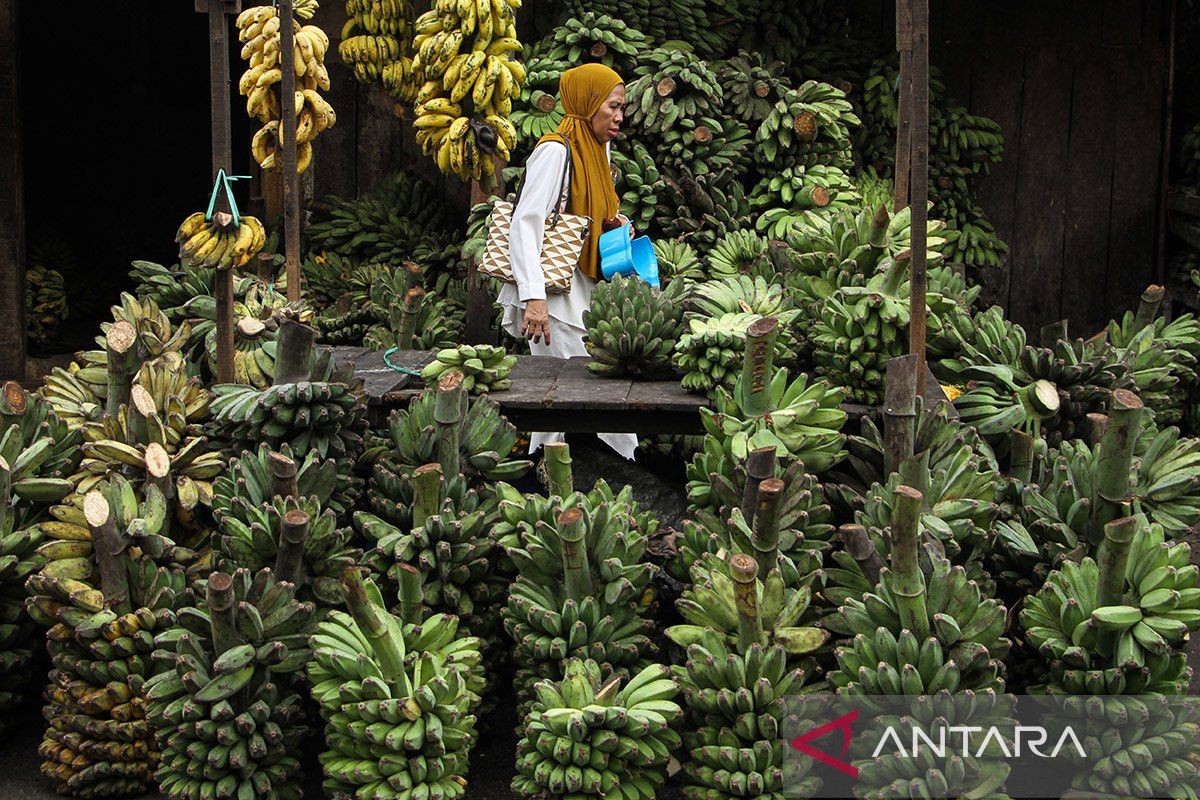 BPOM: Simpan pisang dan tomat di suhu ruang, bukan di lemari es