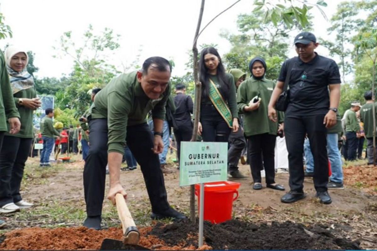 Pemprov Sumsel dukung penanaman pohon serentak Hari Bhakti Rimbawan