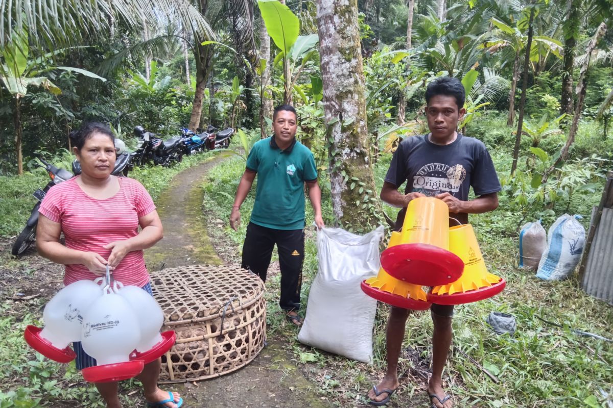 Kemensos beri bantuan ternak bebek untuk perawatan anak disabilitas