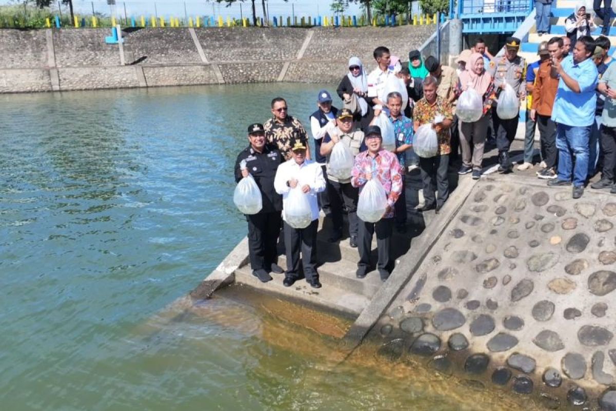 Pj Gubernur Sulsel tebar 10 ribu benih ikan di Kolam Nipa-nipa Maros