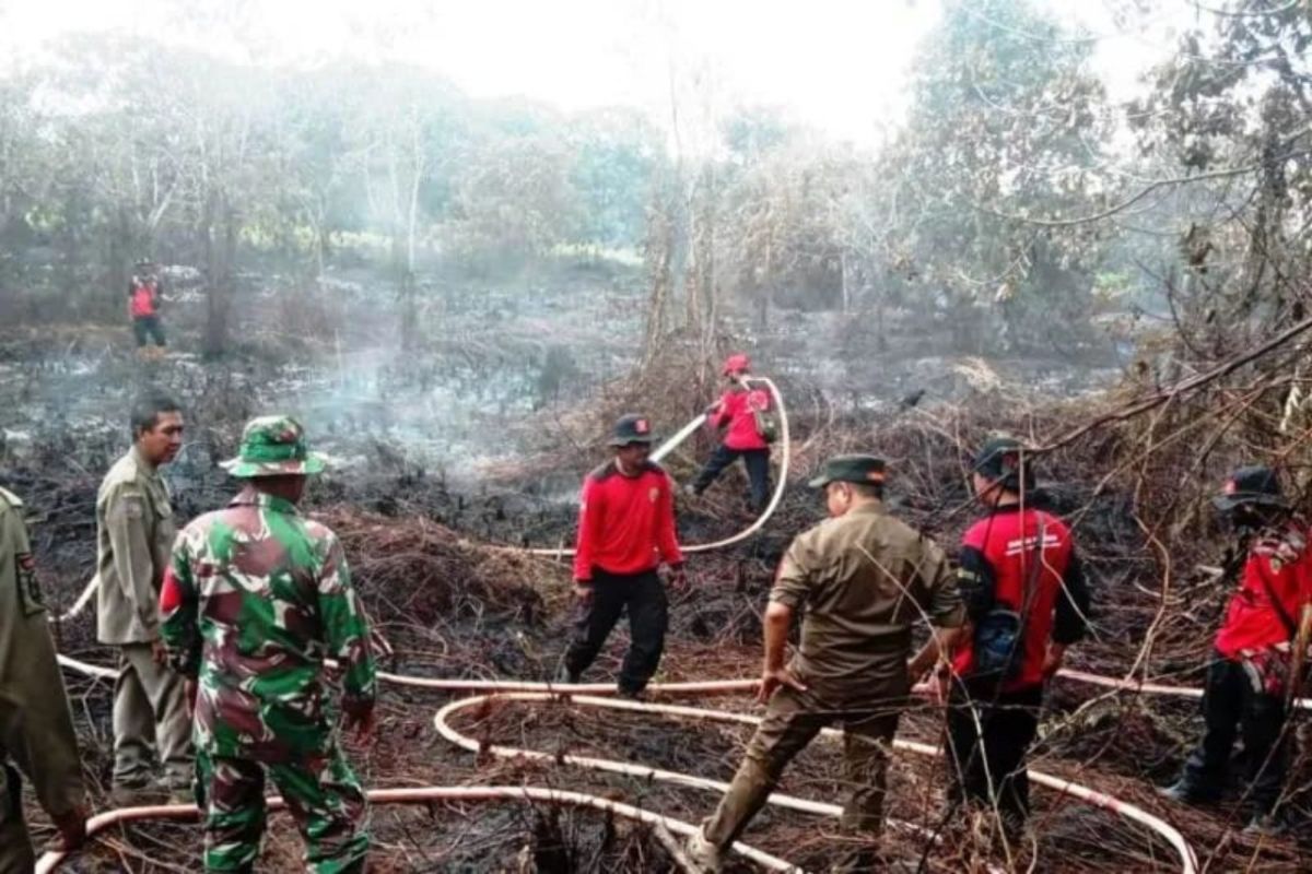 BMKG deteksi 167 titik panas di Kalimantan Timur