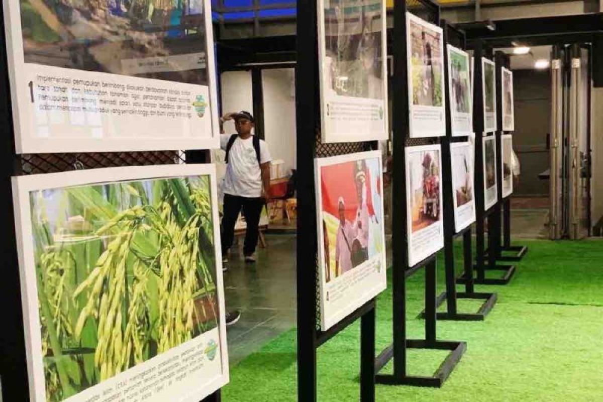 Kementan memacu anak muda kenali pangan lewat pameran foto pertanian
