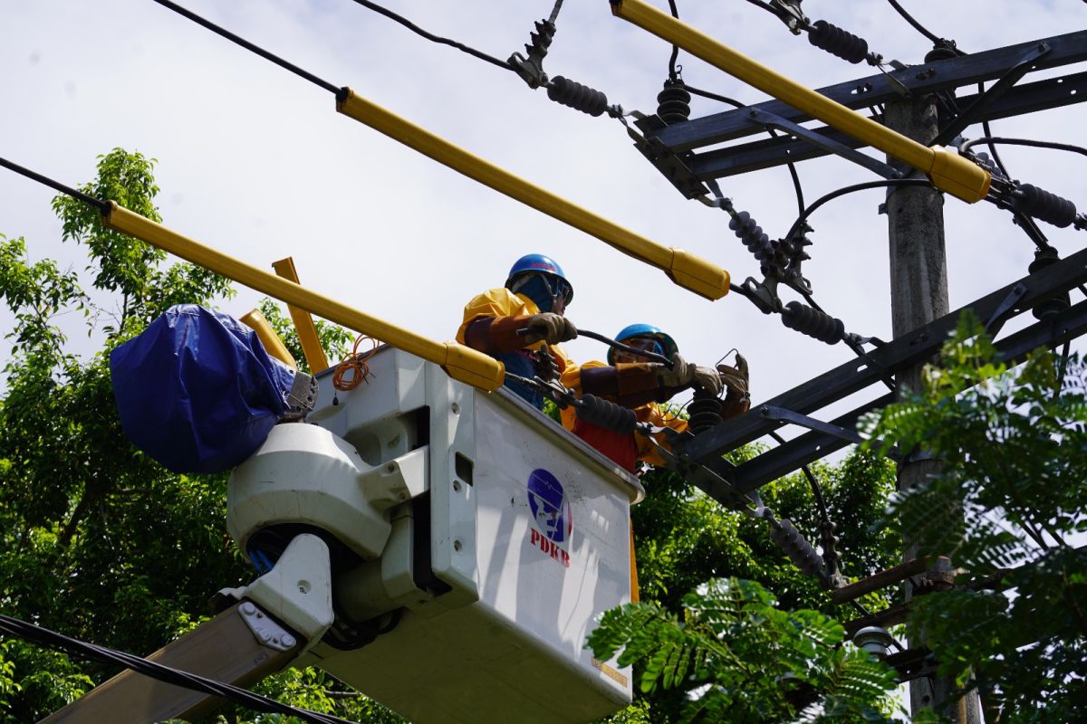 Tim  PDKB PLN UIW MMU lakukan pemeliharaan infrastruktur kelistrikan