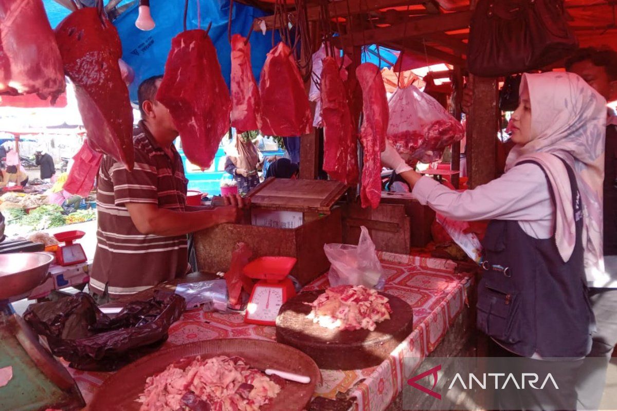 DKPP Kota Bengkulu: Daging sapi yang dijual di Bengkulu layak konsumsi