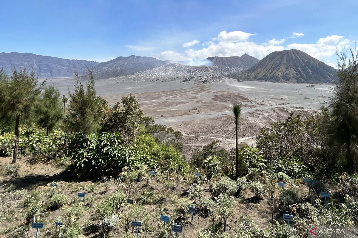 Libur Lebaran, TNBTS belum tambah kuota wisatawan Bromo