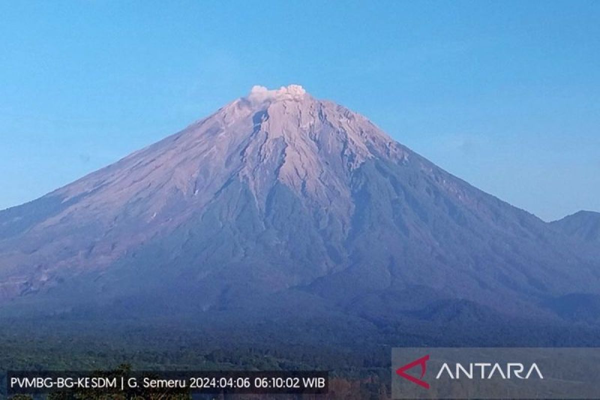 Gunung Semeru erupsi dengan kolom abu vulkanik setinggi 500 meter