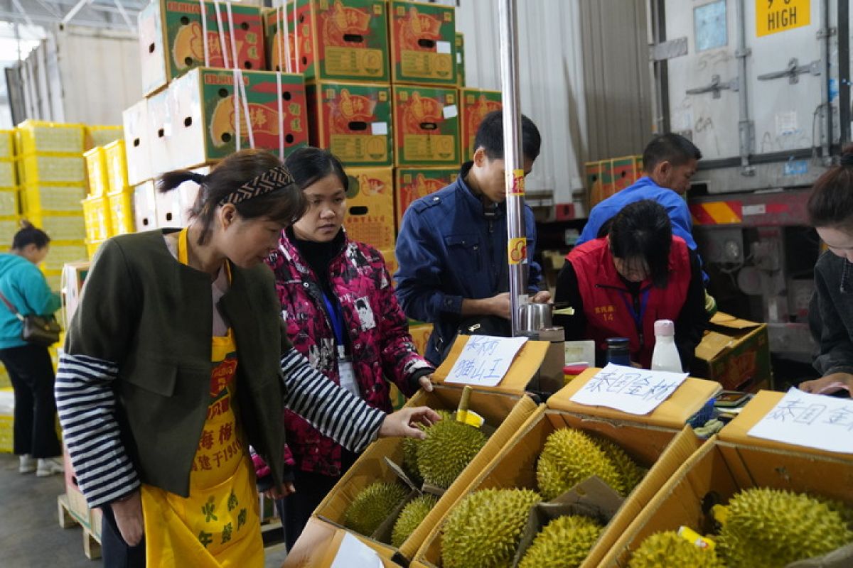 China sambut lebih banyak buah-buahan dari ASEAN jalur darat-laut