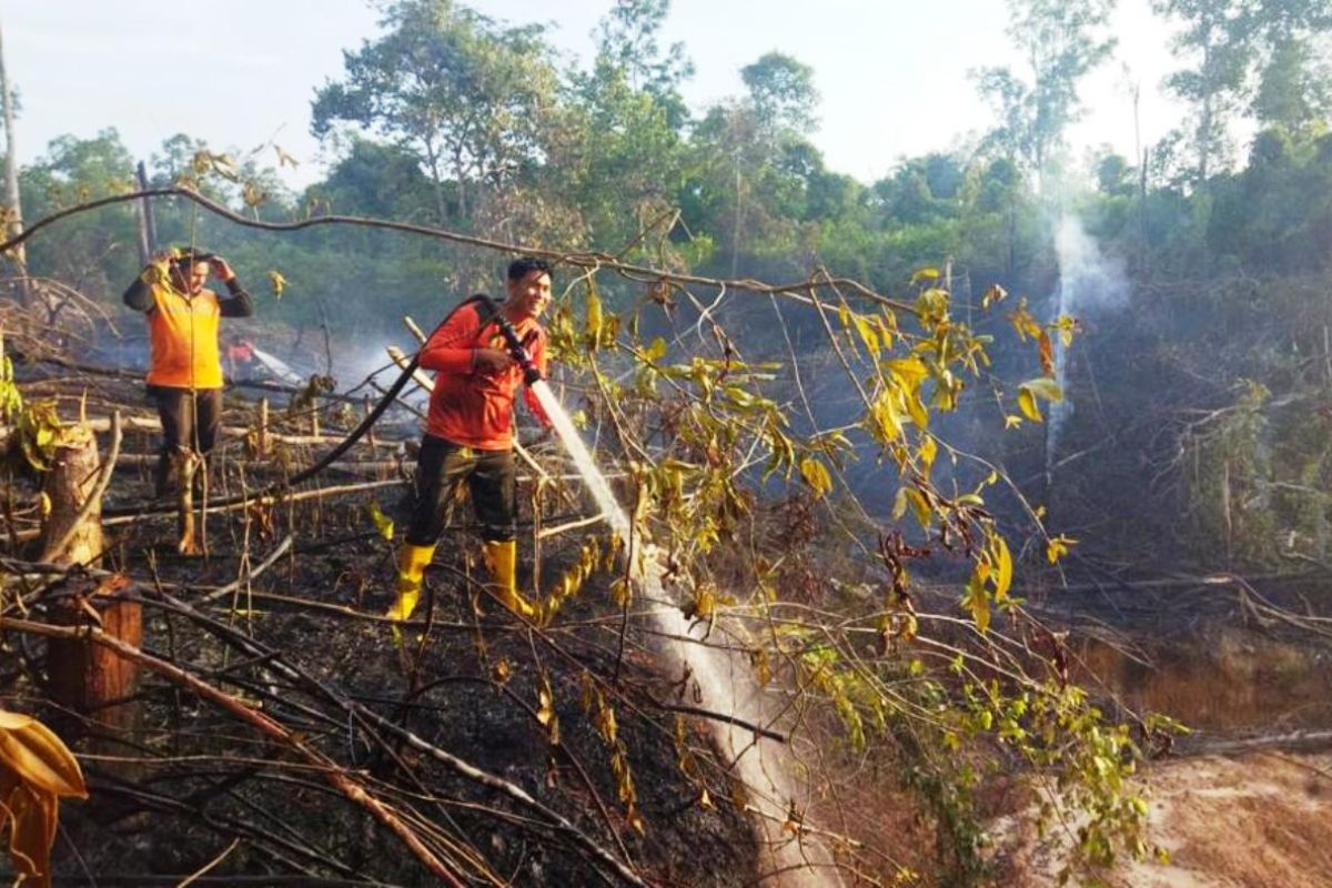 BMKG Balikpapan deteksi 84 titik panas di Kalimantan Timur