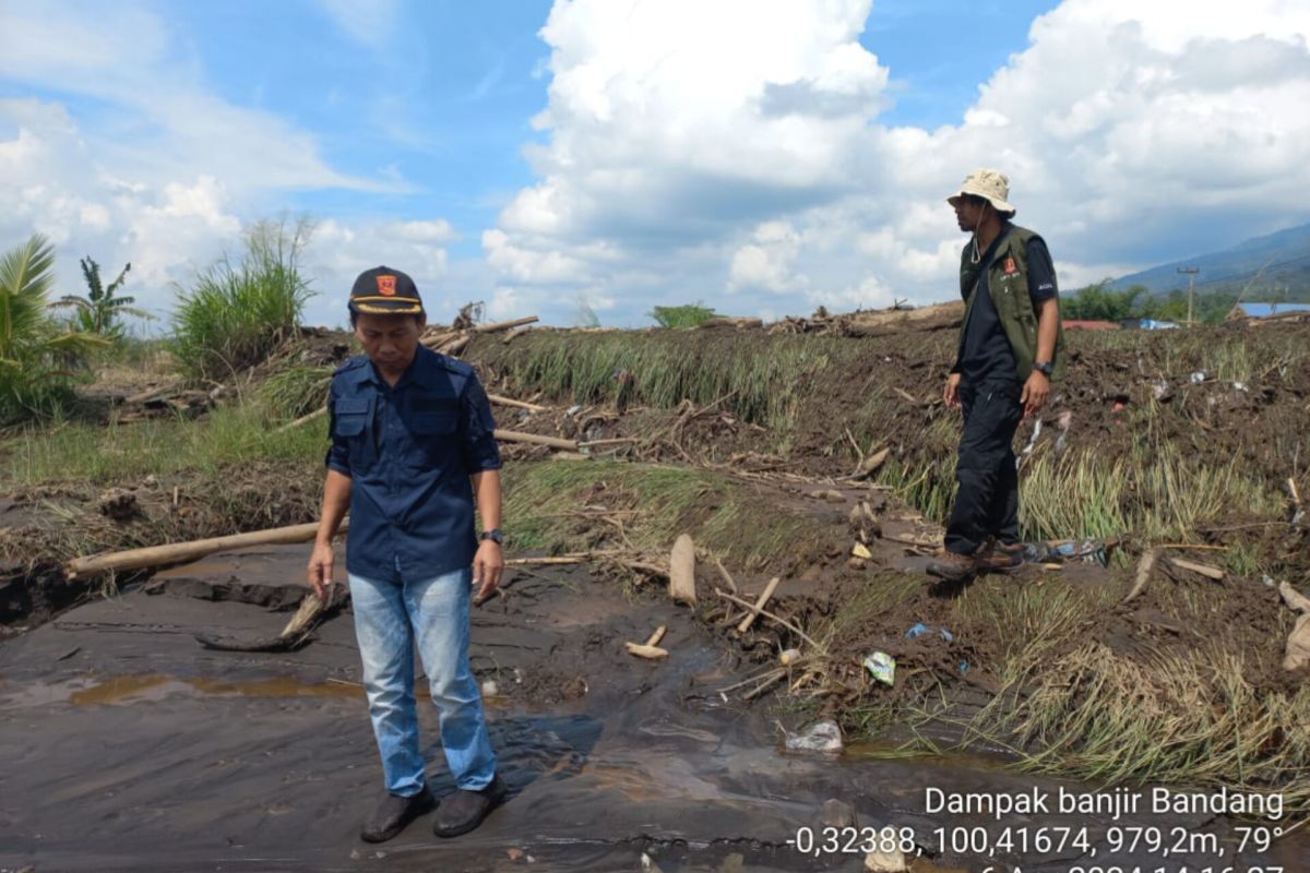 Distan Agam: 38,50 hektare padi rusak dampak banjir lahar dingin