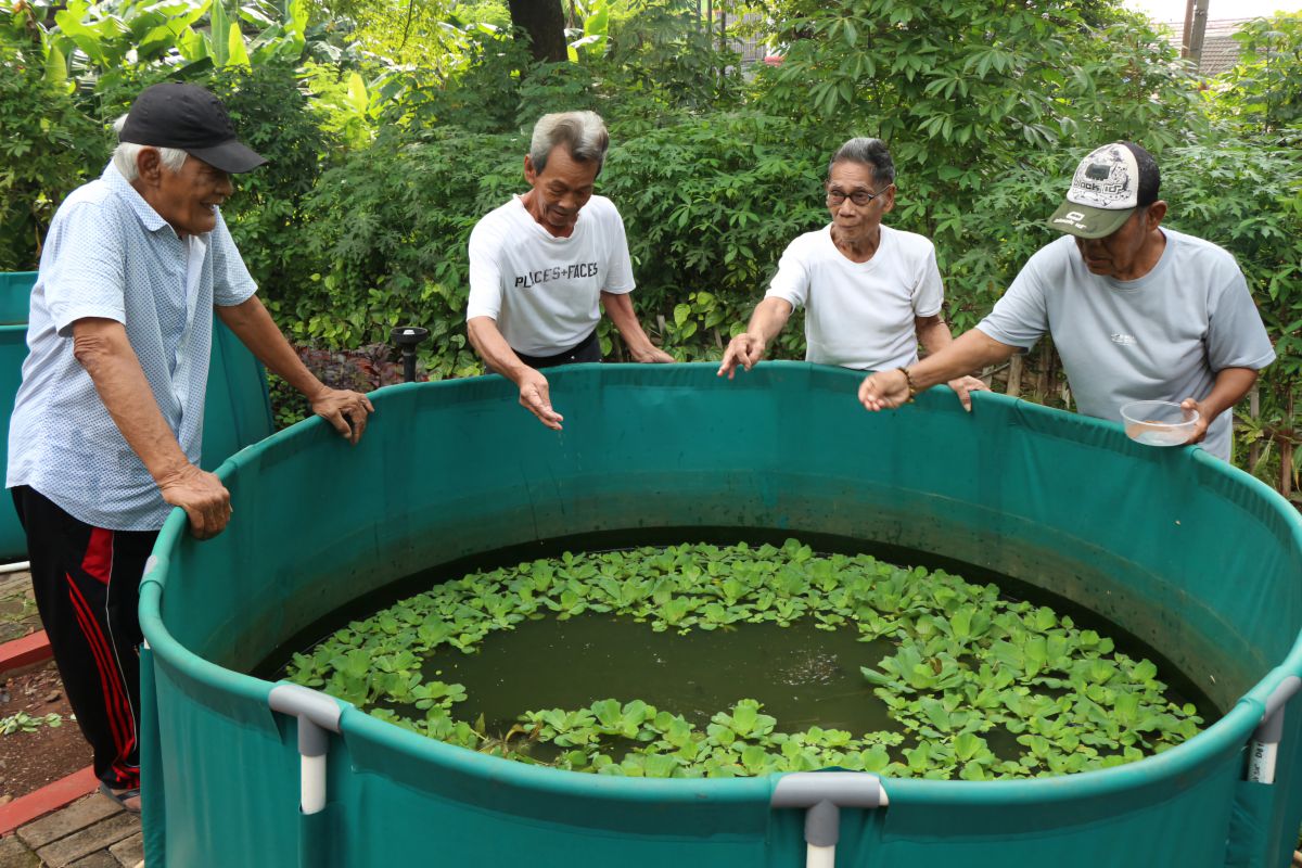 Kemensos bantu berdayakan lansia lewat agrowisata di sentra terpadu