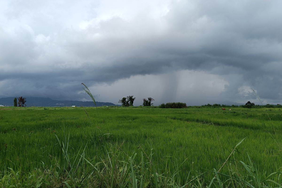 BMKG: Sejumlah kabupaten-kota di Sulut berpotensi cuaca  ekstrem