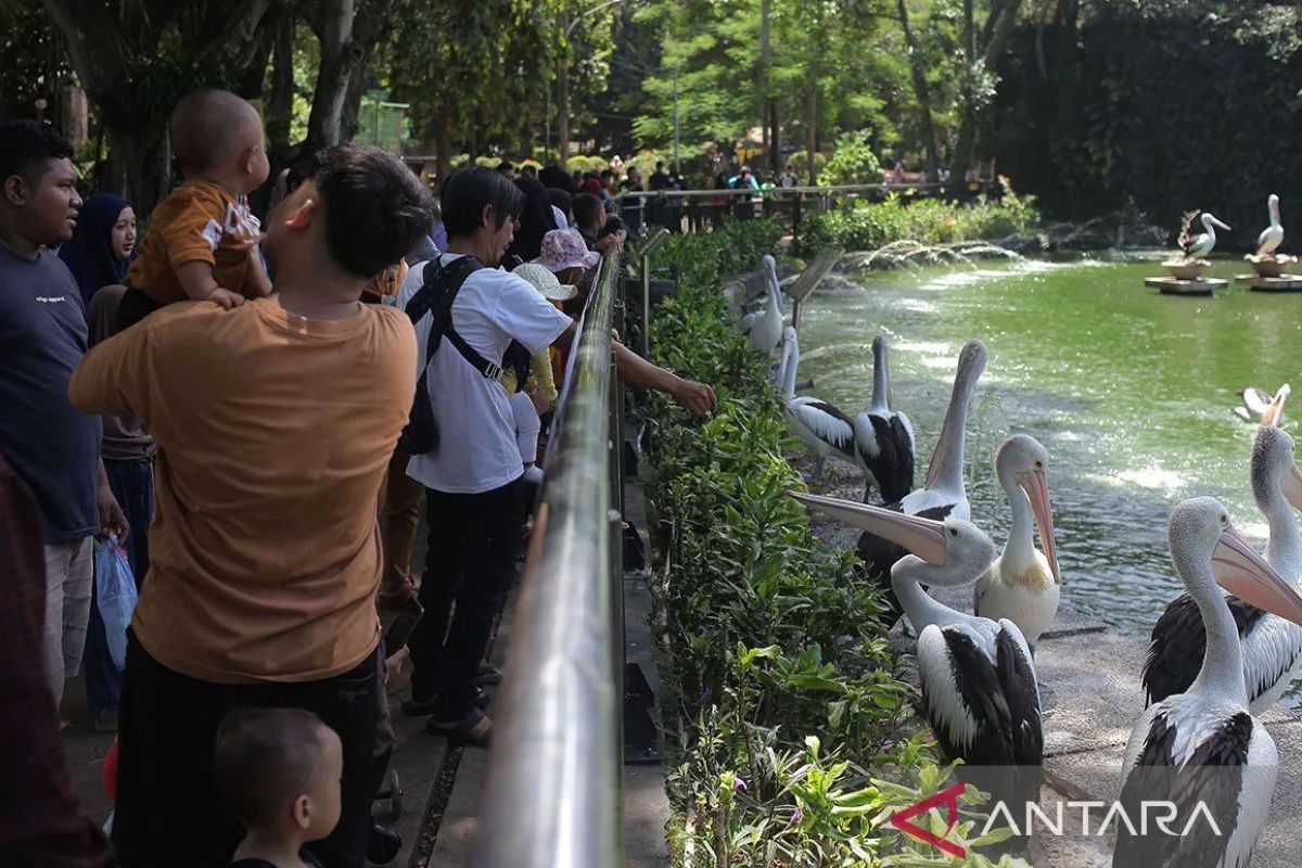 Kantong parkir Taman Margasatwa Ragunan tampung wisatawan membanjir