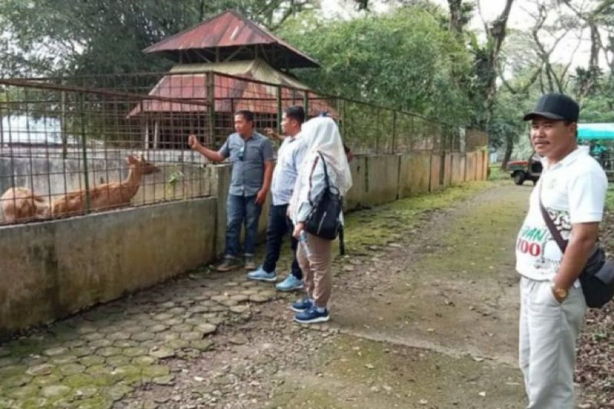 Medan Zoo siap sambut wisatawan libur Idul Fitri 