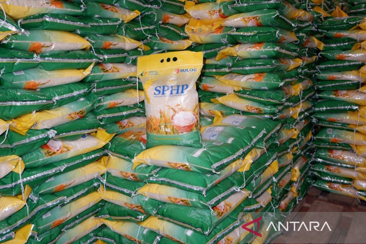 Bulog datangkan 100 ton beras ke Natuna