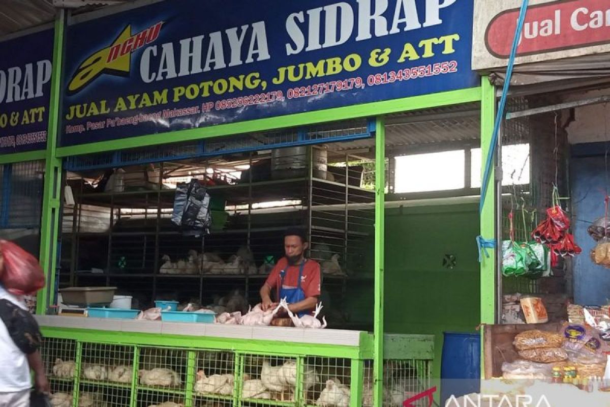 Harga ayam potong dan cabai naik jelang  Lebaran di Makassar