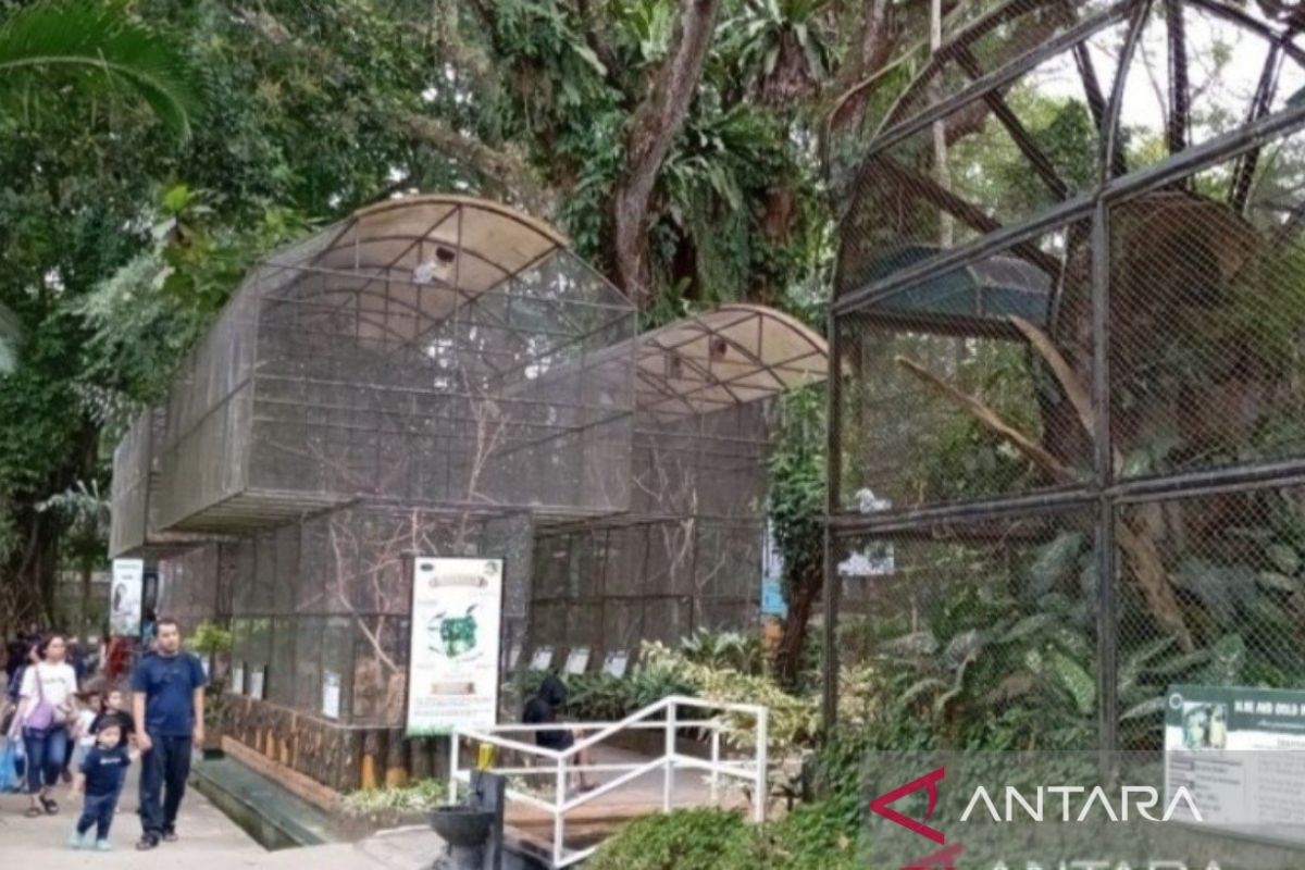 Taman Hewan Pematang Siantar berbenah demi wisatawan