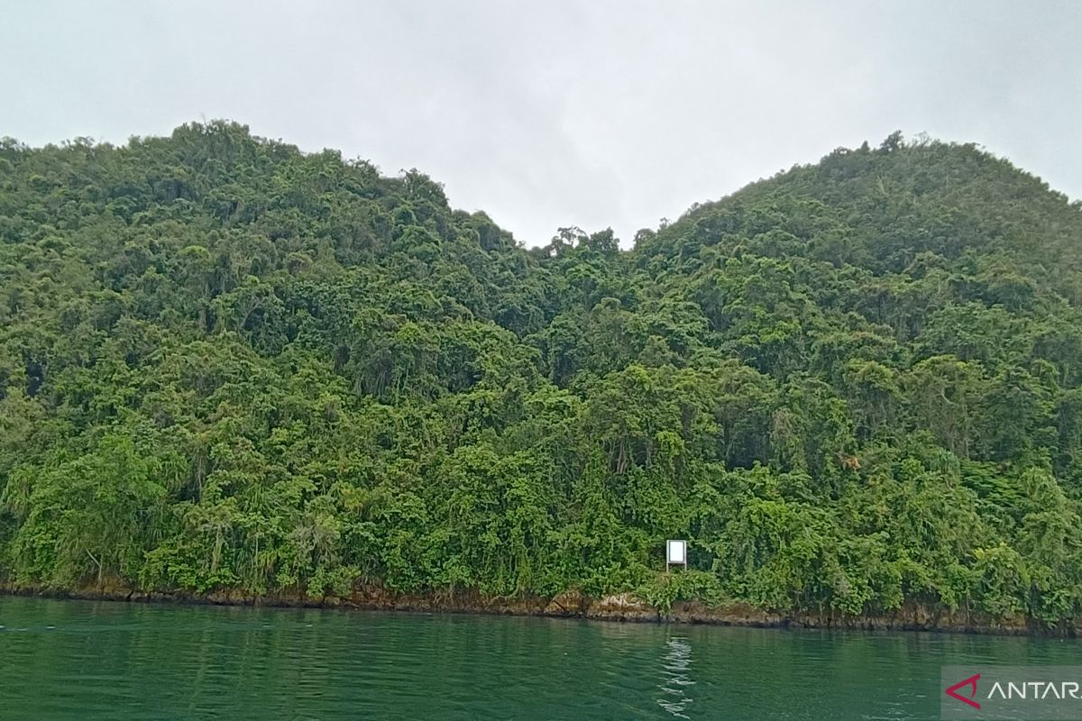 Tim Ahli Cagar Budaya Jayapura melakukan delineasi Gunung Srobu