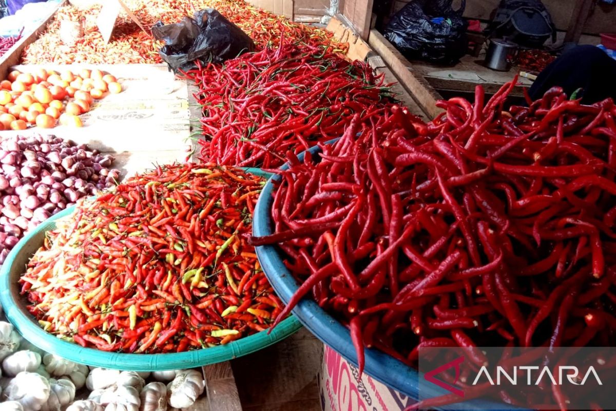 Sehari jelang Lebaran harga cabai merah di Ambon  tembus Rp100.000 per kilogram
