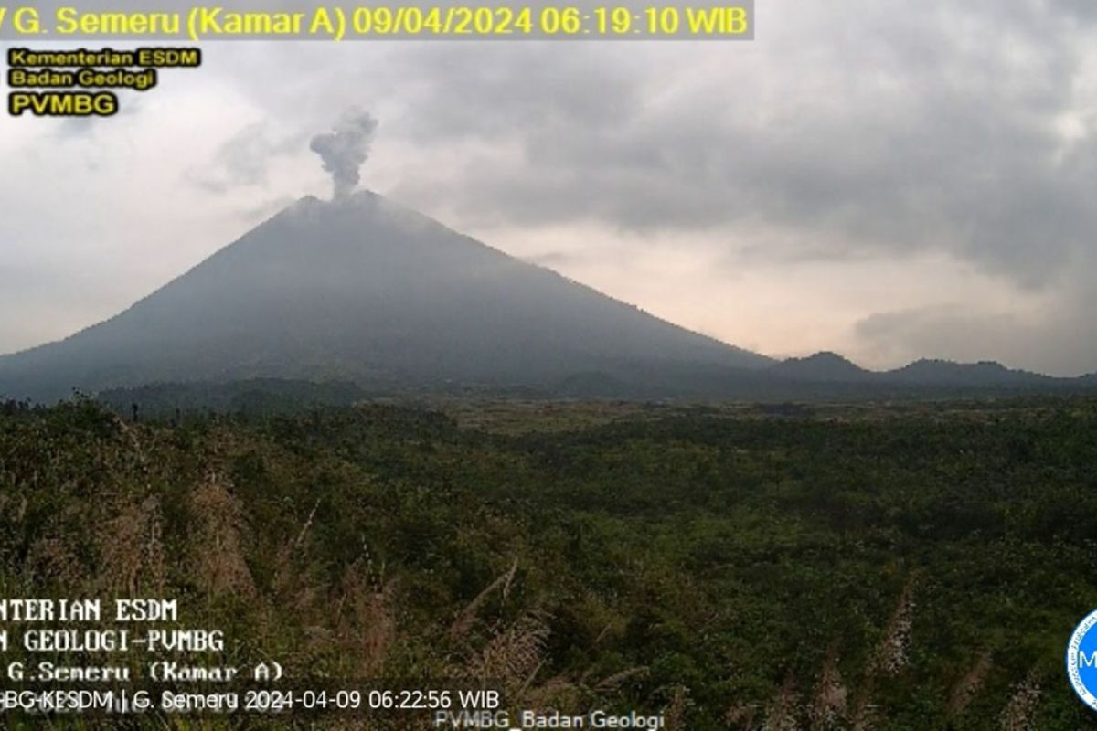 Gunung Semeru erupsi lontarkan abu vulkanik