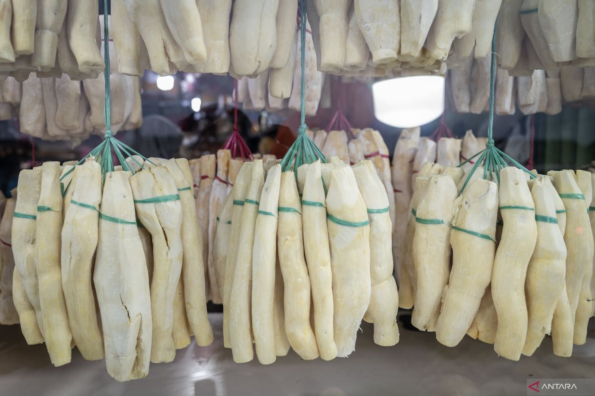 8 manfaat tape singkong bagi kesehatan dan efek sampingnya