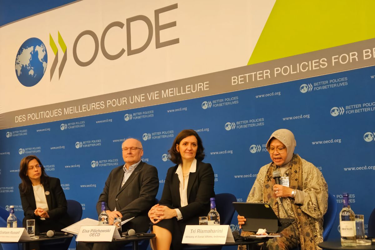 Minister outlines efforts in disaster handling at OECD forum