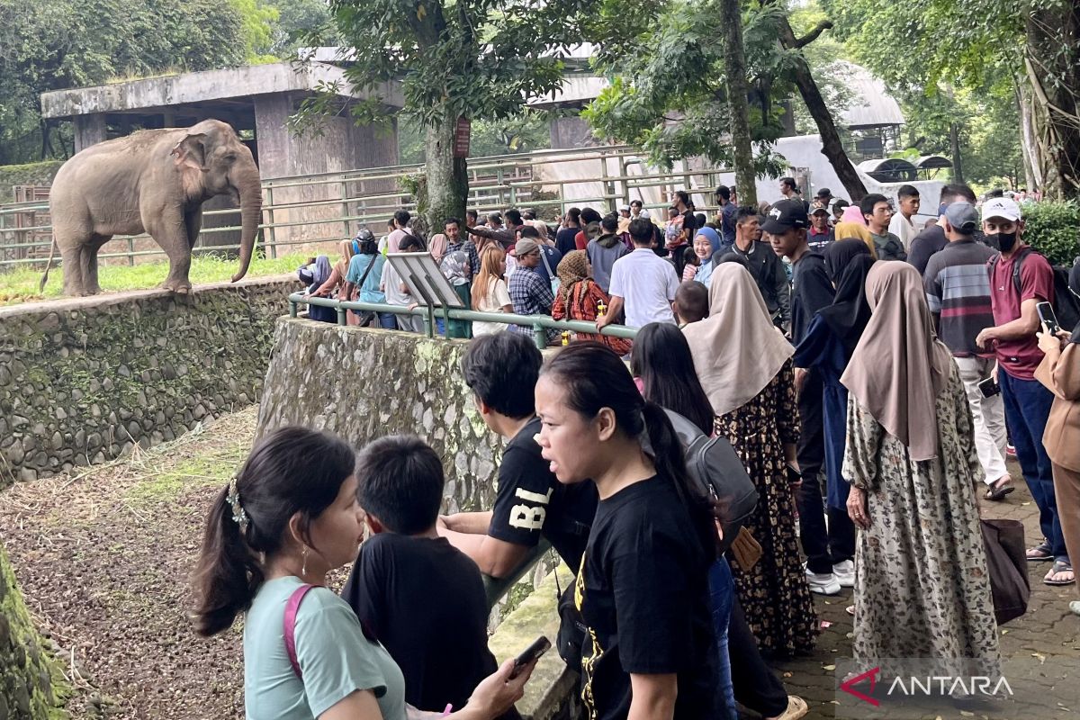 Taman Margasatwa Ragunan Jaksel dipadati pengunjung pada hari kedua Lebaran