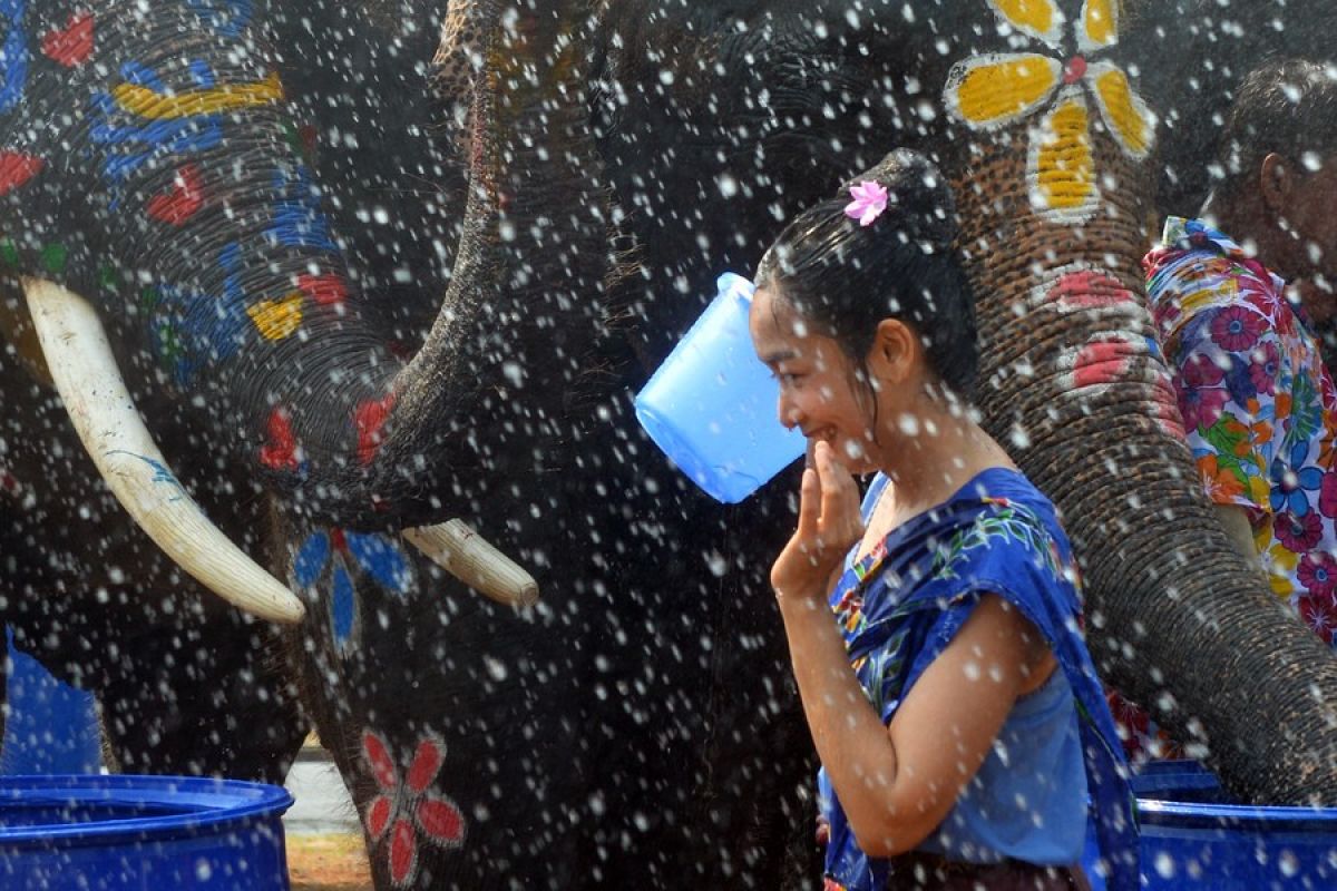 Perang air dengan gajah awali perayaan tradisional Tahun Baru Thailand