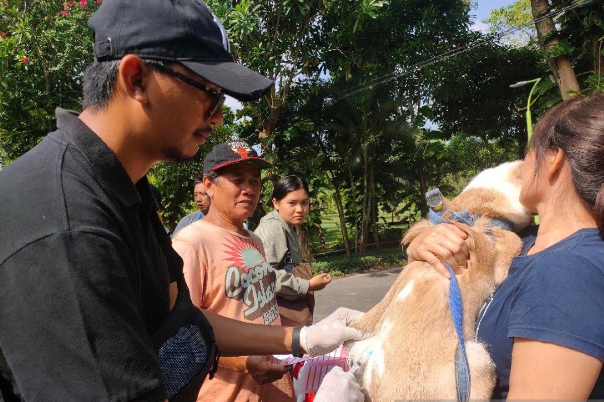 Distan Kota Denpasar targetkan vaksinasi rabies sasar 73.975 HPR