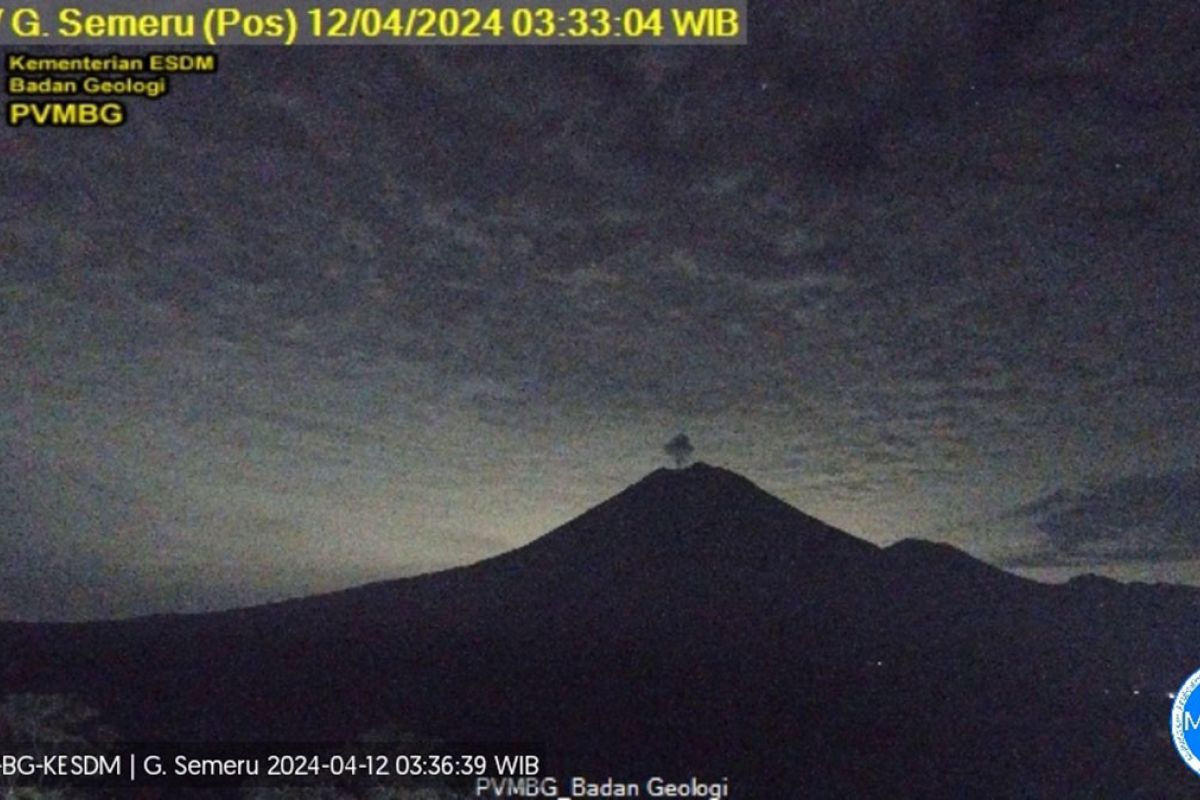 Gunung Semeru erupsi dengan letusan setinggi 700 meter