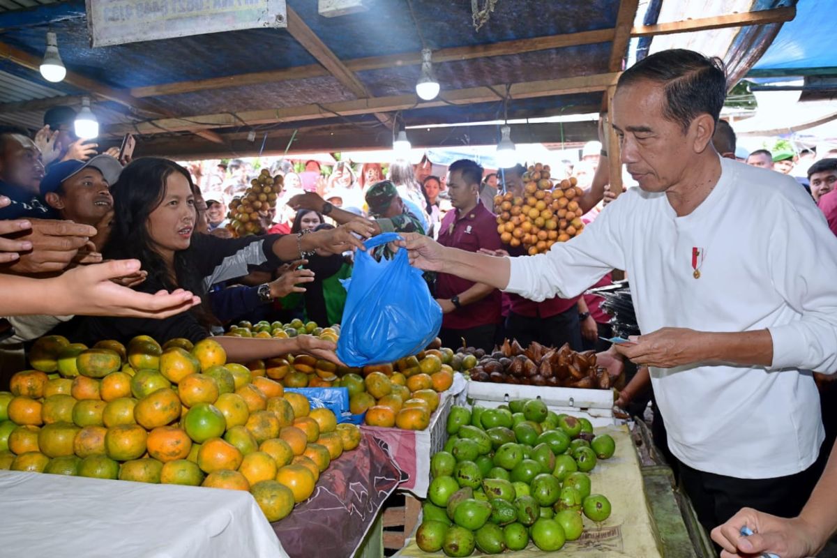 Jokowi belanja buah dan sayur di Pasar Buah Berastagi