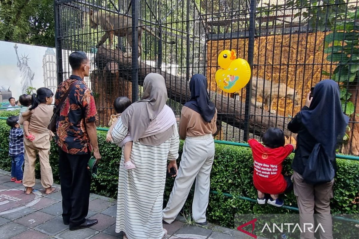 19 ribu wisatawan banjiri Kebun Binatang Surabaya