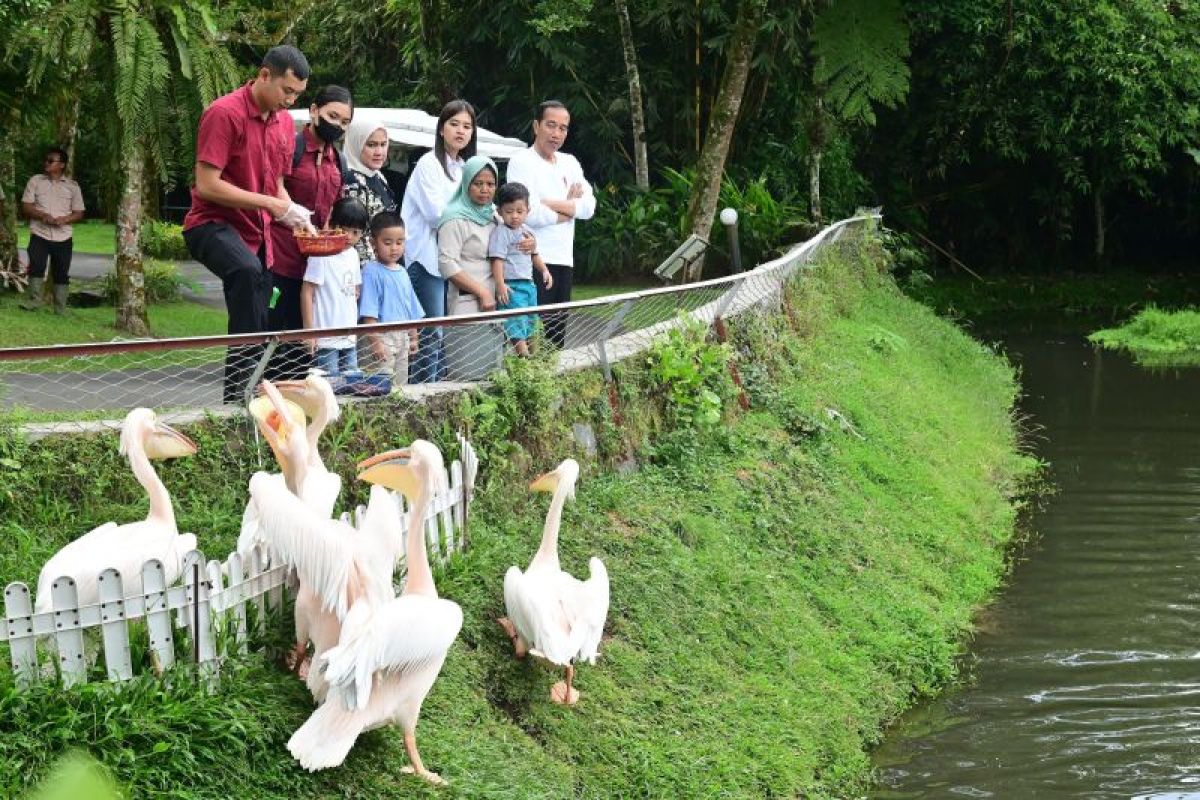 President Joko Widodo takes his grandchildren on an animal tour