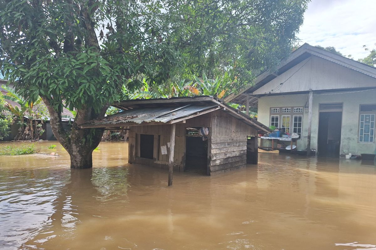 Puluhan rumah & fasilitas umum terendam banjir di Kapuas Hulu Kalbar