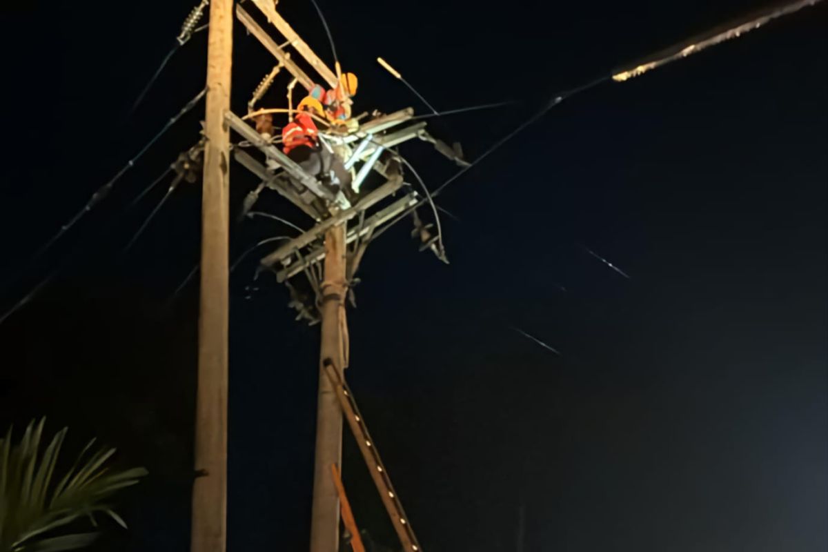 PLN gerak cepat atasi gangguan jaringan listrik di Aceh Selatan