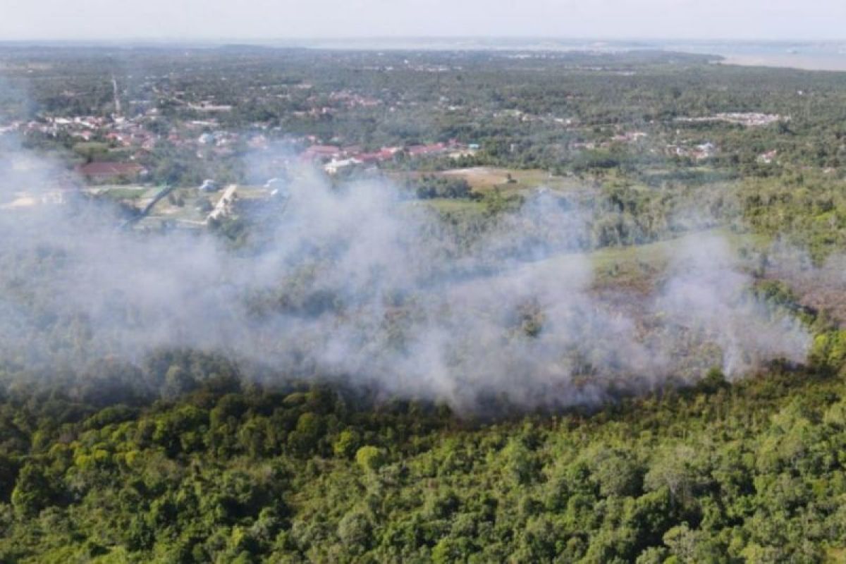 BMKG menemukan 167 titik api di Kalimantan Timur