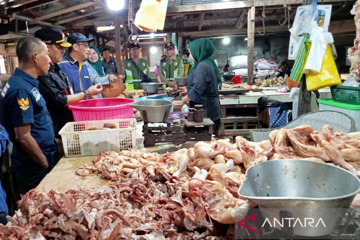 Setelah Lebaran harga ayam di Palangka Raya Rp45 ribu per kilogram