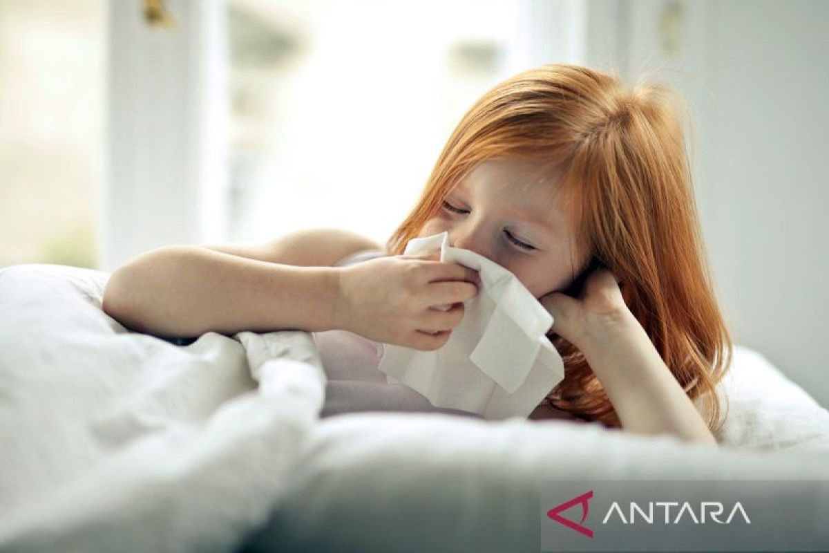 Rinitis alergi tidak kunjung sembuh waspada multimorbiditas