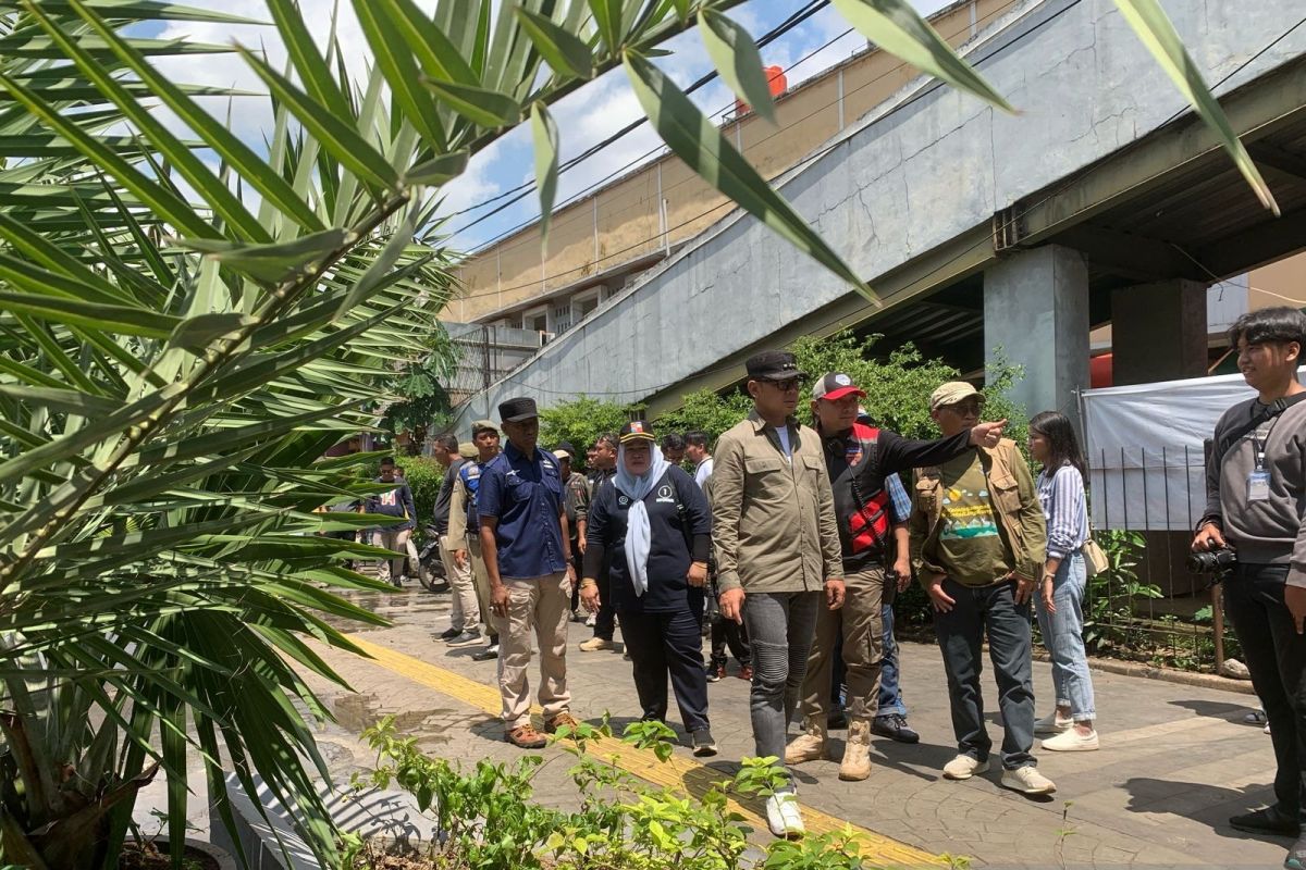 Pemkot Bogor lakukan penghijauan di jalur pedestrian Jalan Dewi Sartika