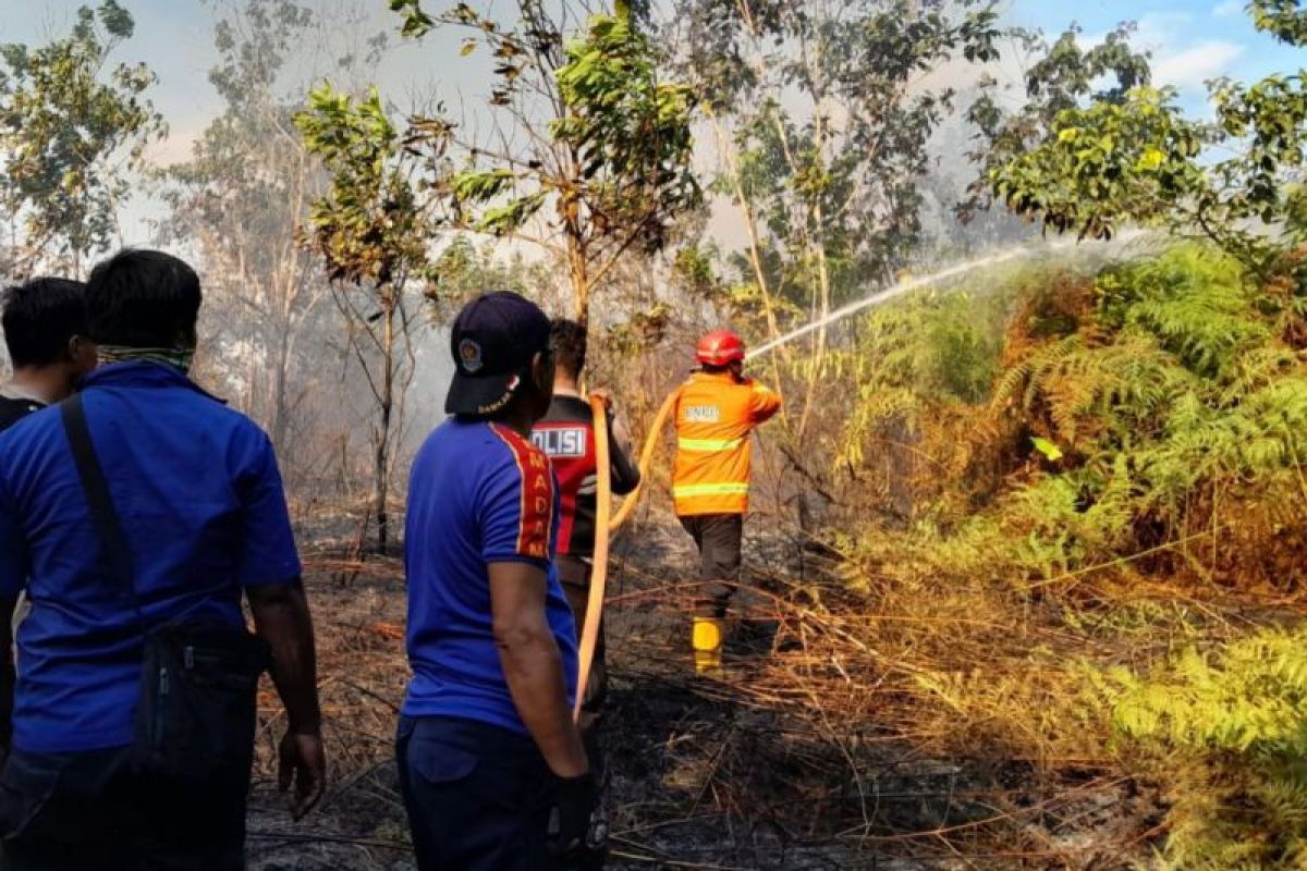 BMKG: Titik panas di Kaltim berkurang, namun tetap waspada karhutla