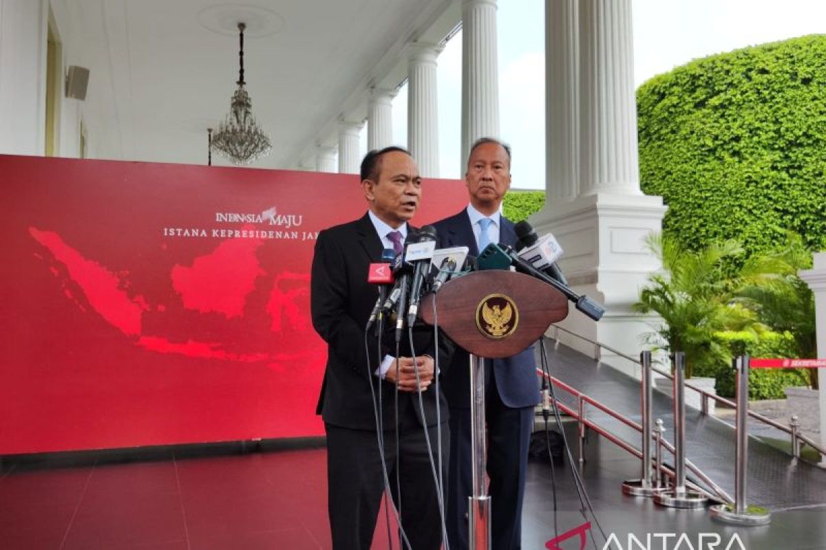Jokowi bertemu Megawati tak ada hambatan, beber Projo